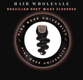 4x4 Brazilian Body Wave Lace Closure